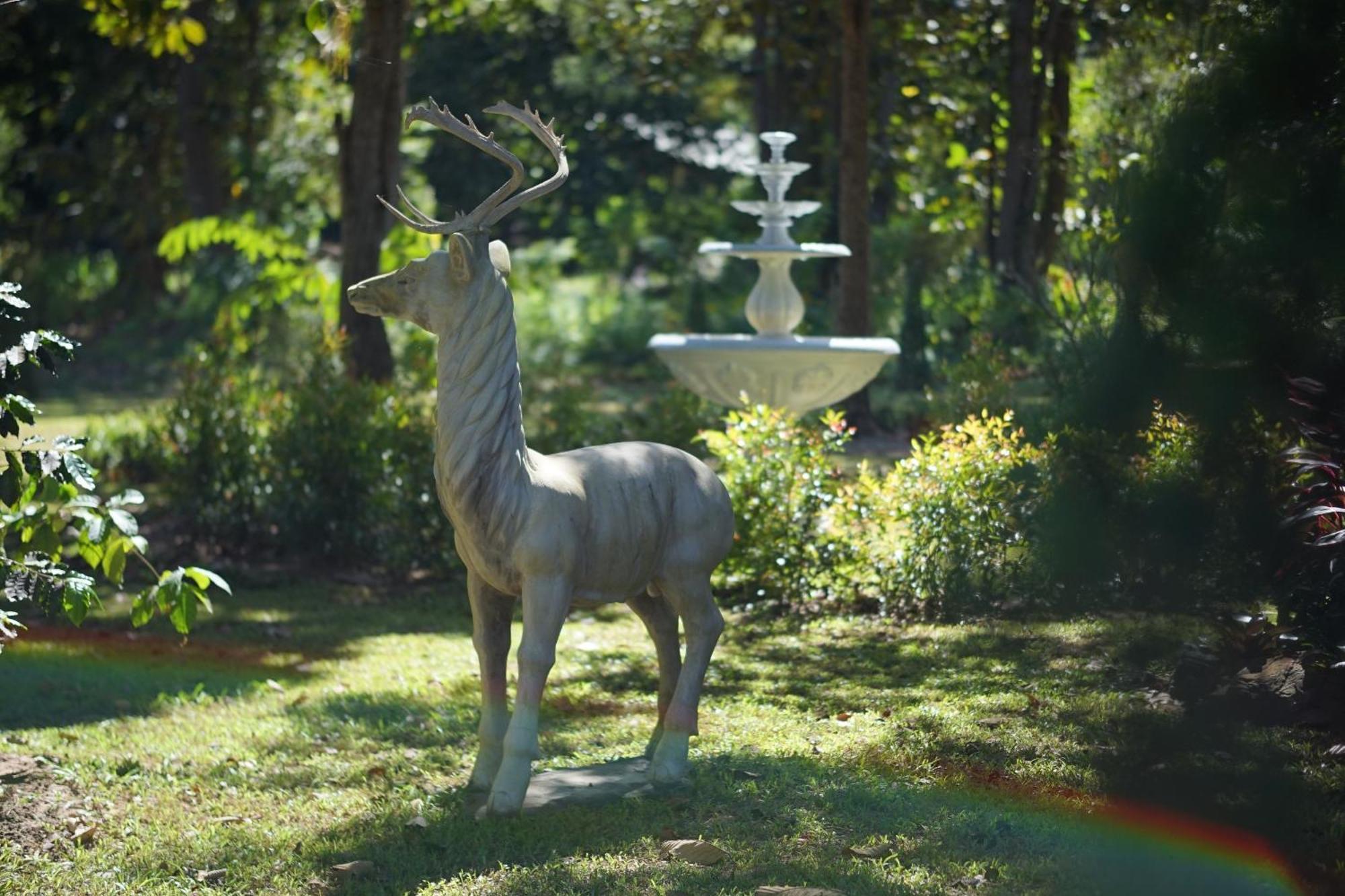 Baan Pingkan Wellness Resort San Kamphaeng Exteriör bild