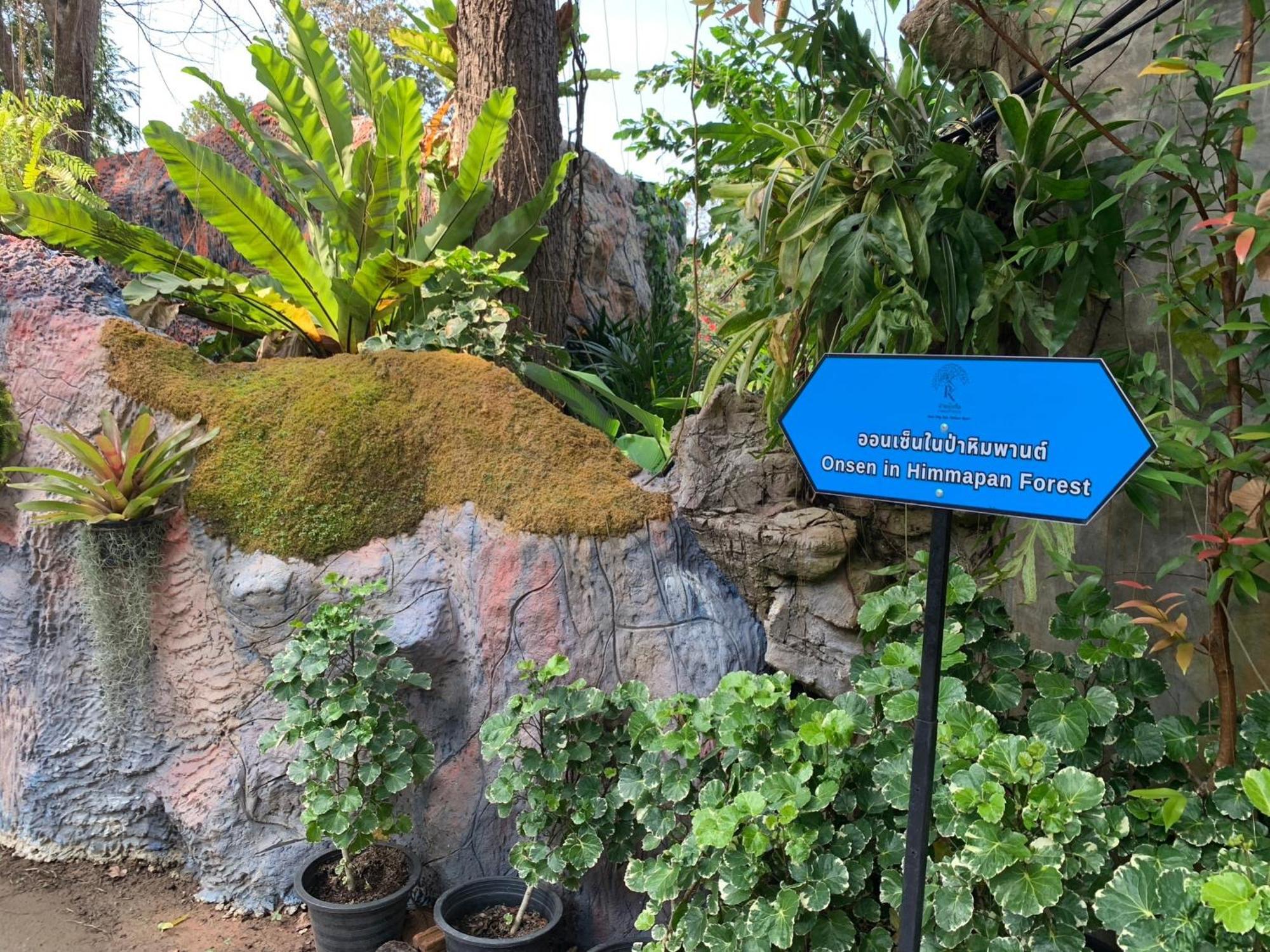 Baan Pingkan Wellness Resort San Kamphaeng Exteriör bild